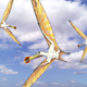 Illustration for article titled What would life be like if pterosaurs were alive today?